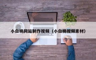 东阳小白杨网站制作视频（小白杨视频素材）